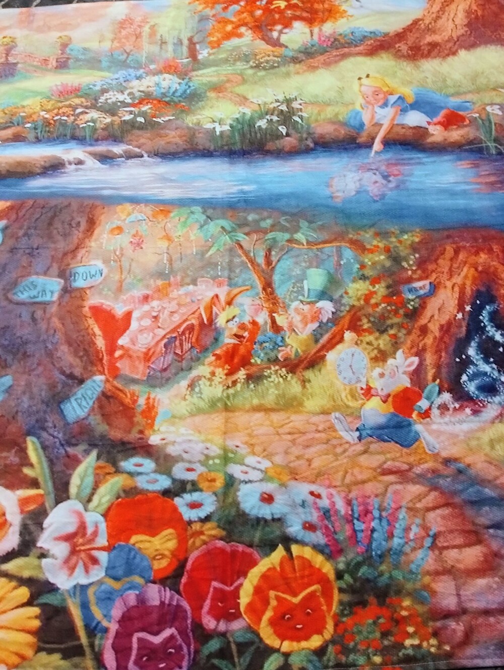 Alice in Wonderland lightweight tapestry backdrop 60 " x 80 " DBLLF